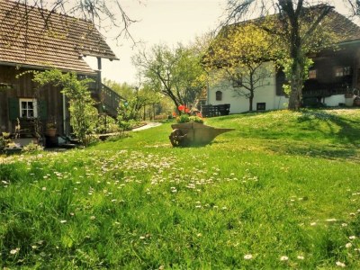 Apartment Presshaus - 2 Nächte - Features photo 54