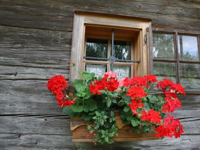 Apartment Presshaus - 2 Nächte - Features photo 69