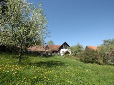 Apartment Presshaus - 2 Nächte - Features photo 73