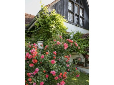 Apartment Presshaus - 2 Nächte - Features photo 76