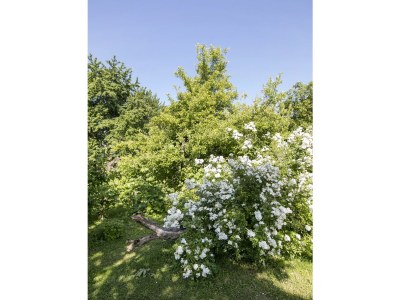 Apartment Presshaus - 2 Nächte - Features photo 78