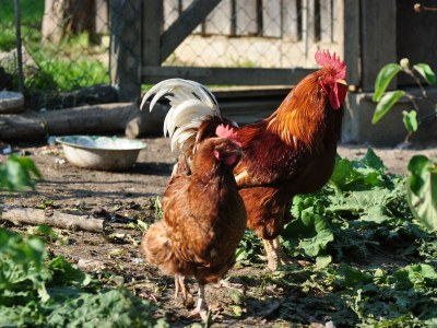 Apartment Presshaus - 2 Nächte - Features photo 83