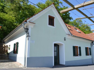 Apartment Ferienwohnung im Dachgeschoss in Fehring - Apartment
