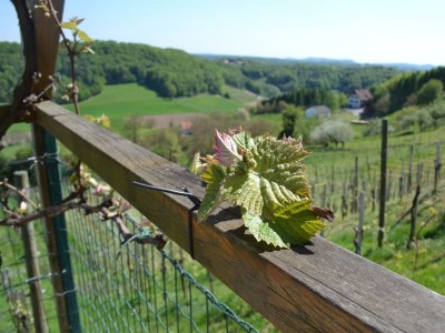 Apartment Ferienwohnung im Dachgeschoss - Outdoor photo 5