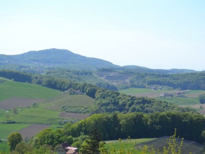 Apartment Ferienwohnung im Dachgeschoss - Outdoor photo 7