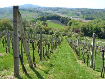 Apartment Ferienwohnung im Dachgeschoss - Outdoor photo 9