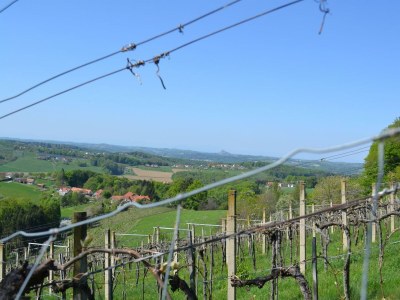Apartment Ferienwohnung im Dachgeschoss - Outdoor photo 10