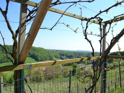 Apartment Ferienwohnung im Dachgeschoss - Outdoor photo 11