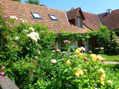 Apartment Haus Hoamatl - 2 Nächte - Outdoor photo 4