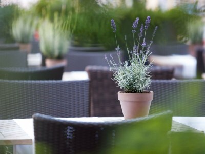 Apartment Ferienwohnung - Outdoor photo 7