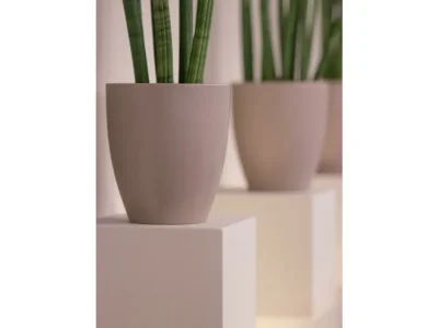 Apartment Ferienwohnung - Outdoor photo 49