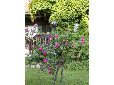 Apartment FeWo Kuschelnest - 2 Nächte - Outdoor photo 17