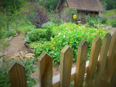 Apartment FeWo Kuschelnest - 2 Nächte - Outdoor photo 23