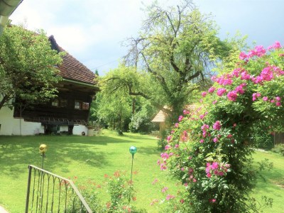 Apartment FeWo Kuschelnest - 2 Nächte - Outdoor photo 35