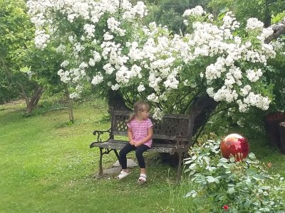 Apartment FeWo Sunnseitn - 2 Nächte - Outdoor photo 20