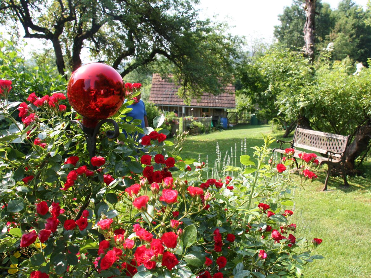 Apartment Winzerhaus - 2 Nächte - Outdoor photo 5
