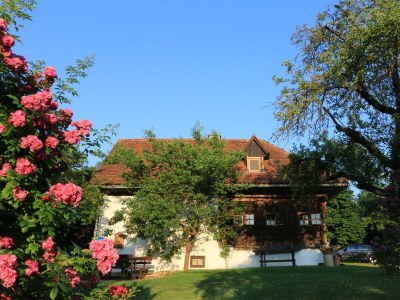 Apartment Winzerhaus - 2 Nächte - Outdoor photo 9