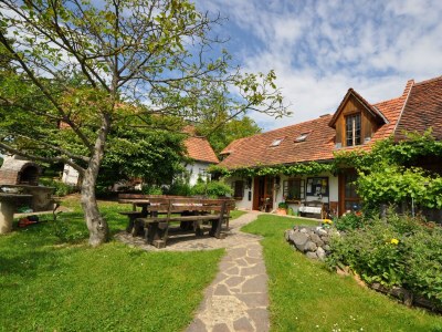 Apartment Winzerhaus - 2 Nächte - Outdoor photo 13