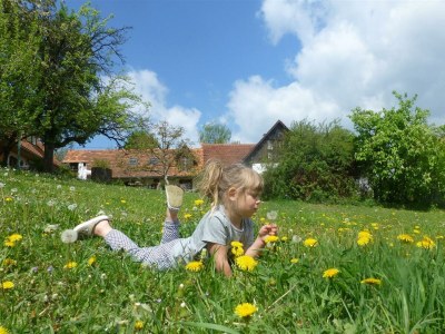 Apartment Winzerhaus - 2 Nächte - Outdoor photo 18