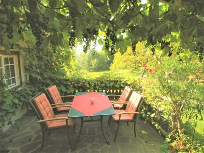 Apartment Winzerhaus - 2 Nächte - Outdoor photo 21