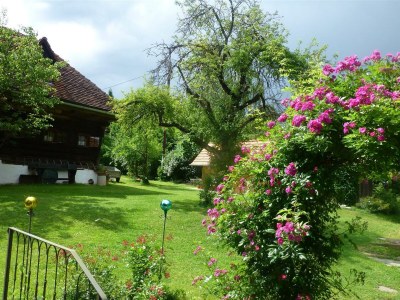 Apartment Winzerhaus - 2 Nächte - Features photo 51