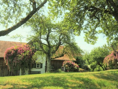 Apartment Winzerhaus - 2 Nächte - Features photo 53