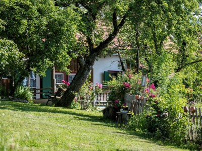 Apartment Winzerhaus - 2 Nächte - Features photo 55