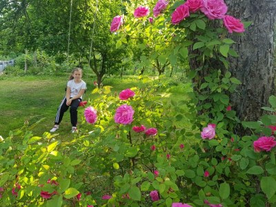 Apartment Winzerhaus - 2 Nächte - Features photo 64