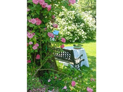 Apartment Winzerhaus - 2 Nächte - Features photo 65