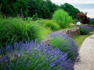 Apartment Exklusives Ferienhaus zur Alleinnutzung - Outdoor photo 9