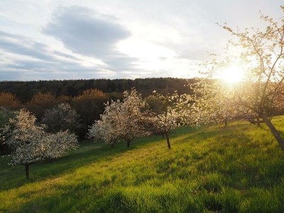 Apartment Exklusives Ferienhaus zur Alleinnutzung - Outdoor photo 11