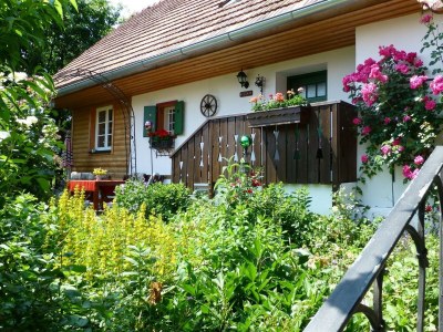 Apartment Ferienhaus Romantikstöckl - 2 Nächte in Kirchberg an der Raab - Apartment