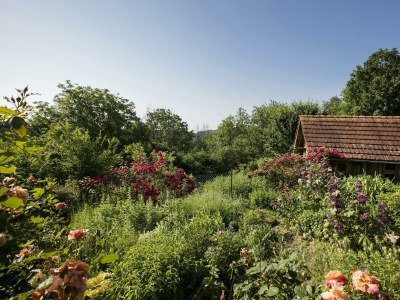 Apartment Ferienhaus Romantikstöckl - 2 Nächte - Outdoor photo 11