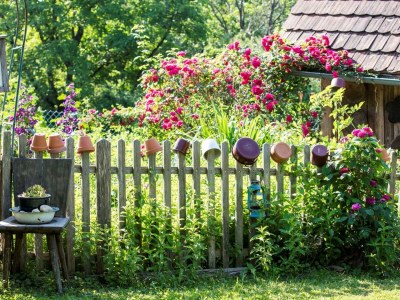 Apartment Ferienhaus Romantikstöckl - 2 Nächte - Outdoor photo 20