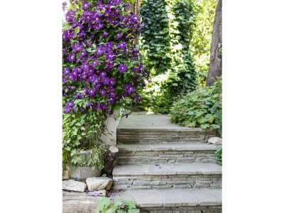 Apartment Ferienhaus Romantikstöckl - 2 Nächte - Outdoor photo 21