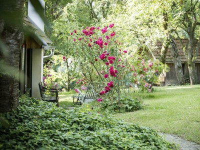 Apartment Ferienhaus Romantikstöckl - 2 Nächte - Outdoor photo 25