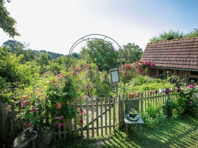 Apartment Ferienhaus Romantikstöckl - 2 Nächte - Outdoor photo 29