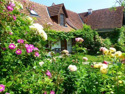 Apartment Ferienhaus Romantikstöckl - 2 Nächte - Outdoor photo 36