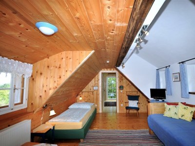 Apartment Ferienhaus Romantikstöckl - 2 Nächte - Features photo 49