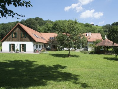 Apartment Ferienwohnung "Presshütte" ohne Frühstück - Outdoor photo 10