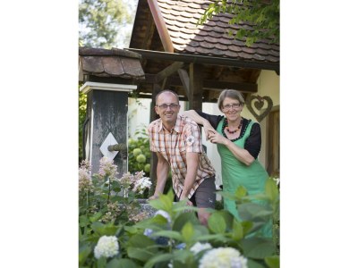 Apartment Ferienwohnung "Presshütte" ohne Frühstück - Outdoor photo 11