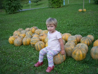 Apartment Ferienwohnung "Troadkastn" ohne Frühstück - Outdoor photo 18