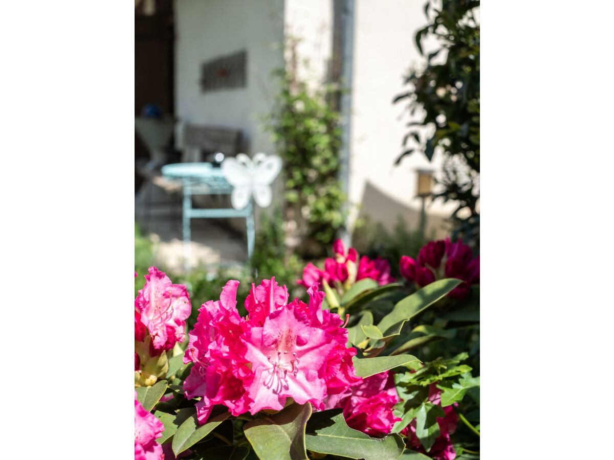 Apartment OMA's Apartment in Haus GRETE - Outdoor photo 4