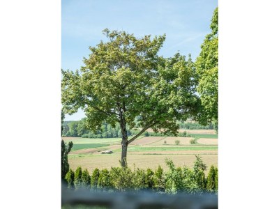 Apartment OMA's Apartment in Haus GRETE - Outdoor photo 22