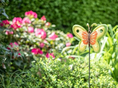 Apartment OMA's Apartment in Haus GRETE - Outdoor photo 34