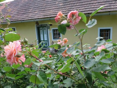 Apartment Landlust-Ferienhaus - Outdoor photo 9