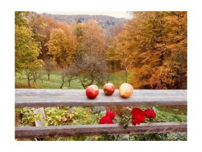 Apartment Landlust-Ferienhaus - Outdoor photo 10