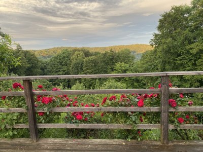 Apartment Landlust-Ferienhaus - Outdoor photo 15