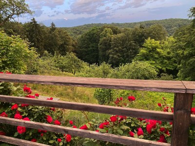 Apartment Landlust-Ferienhaus - Outdoor photo 18