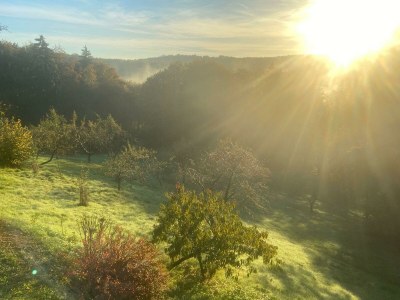 Apartment Landlust-Ferienhaus - Outdoor photo 19